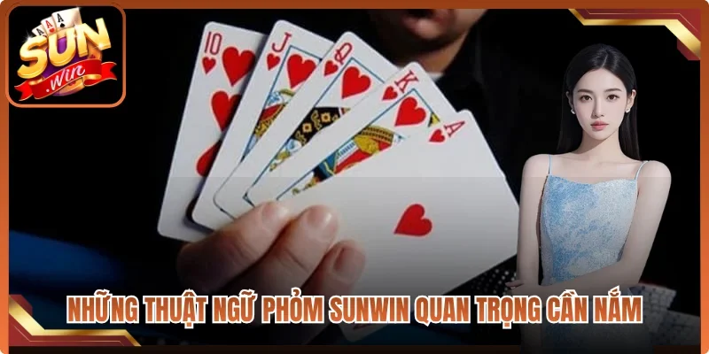 Những thuật ngữ Phỏm Sunwin quan trọng cần nắm